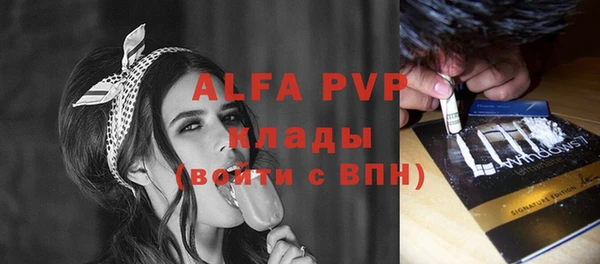 стаф Коряжма