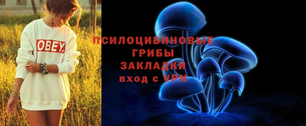 стаф Коряжма