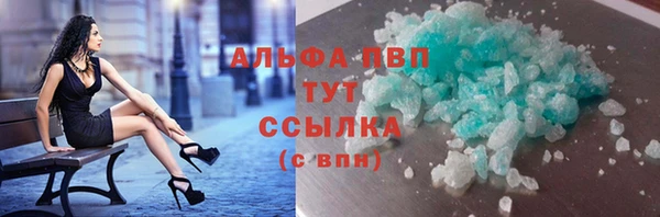стаф Коряжма