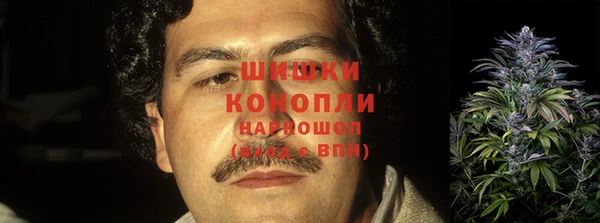 дживик Костерёво