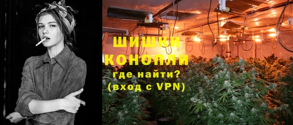 стаф Коряжма