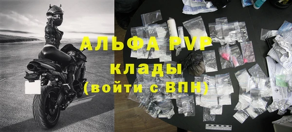 стаф Коряжма