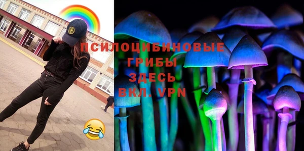 стаф Коряжма