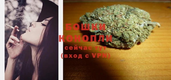 стаф Коряжма