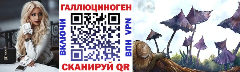 Купить закладки  Мезень  Галлюциногенные грибы мухоморы 